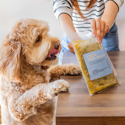 Three Fish Feast | Skin & Coat - Gently Cooked Fresh Dog Food