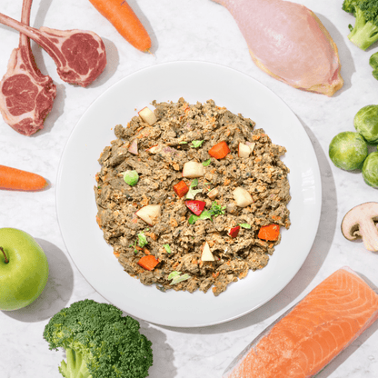 Lamb & Turkey | Weight Control - Gently Cooked Fresh Dog Food