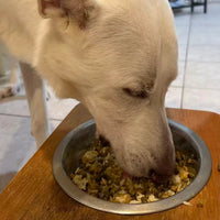 SKOV_Pet_Testimonial_1