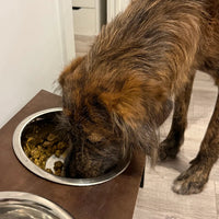 SKOV_Pet_Testimonial_3