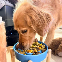 SKOV_Pet_Testimonial_5