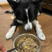 SKOV_Pet_Testimonial_6