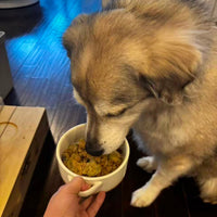 SKOV_Pet_Testimonial_7