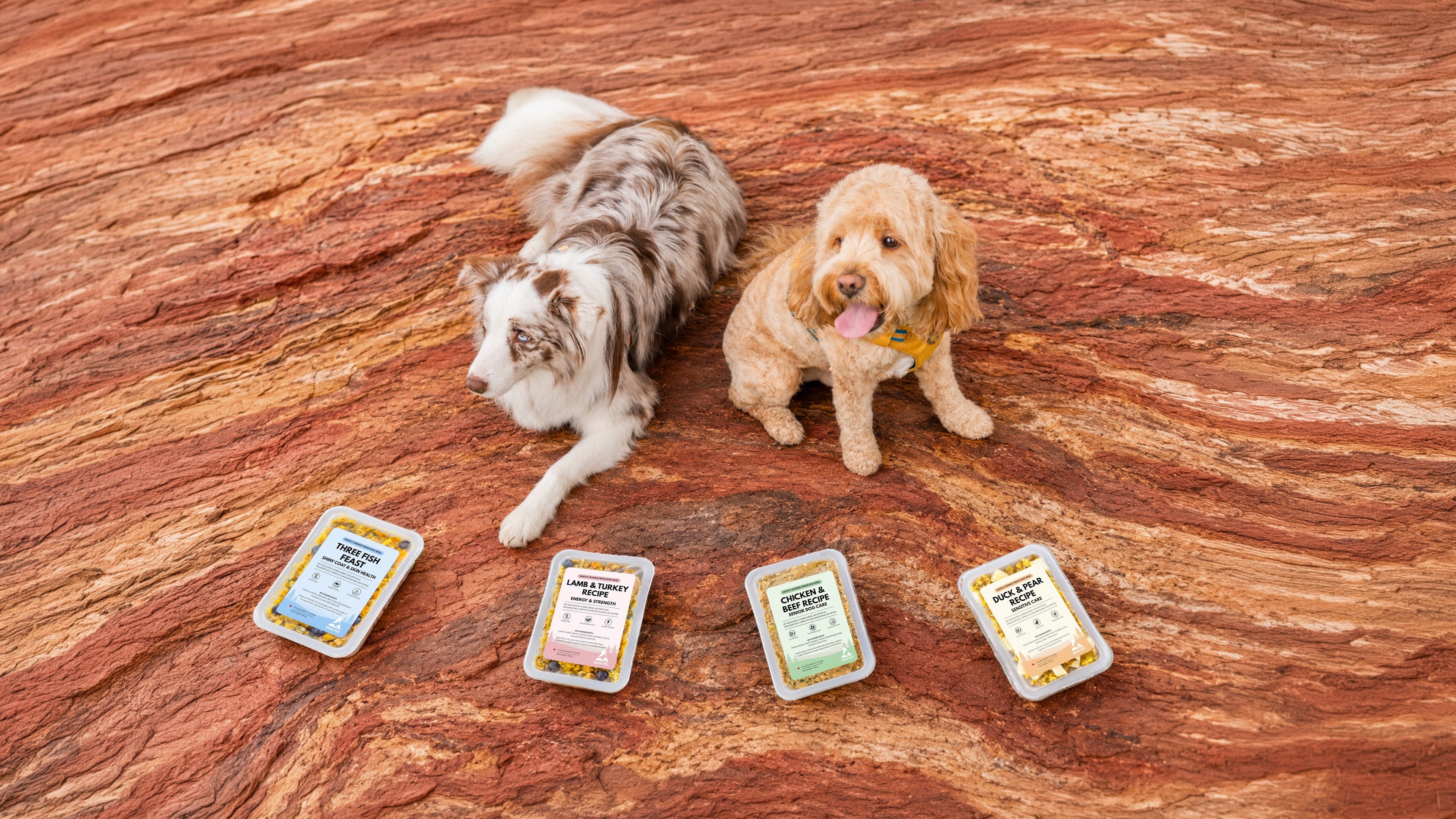 skov pet fresh dog food collection